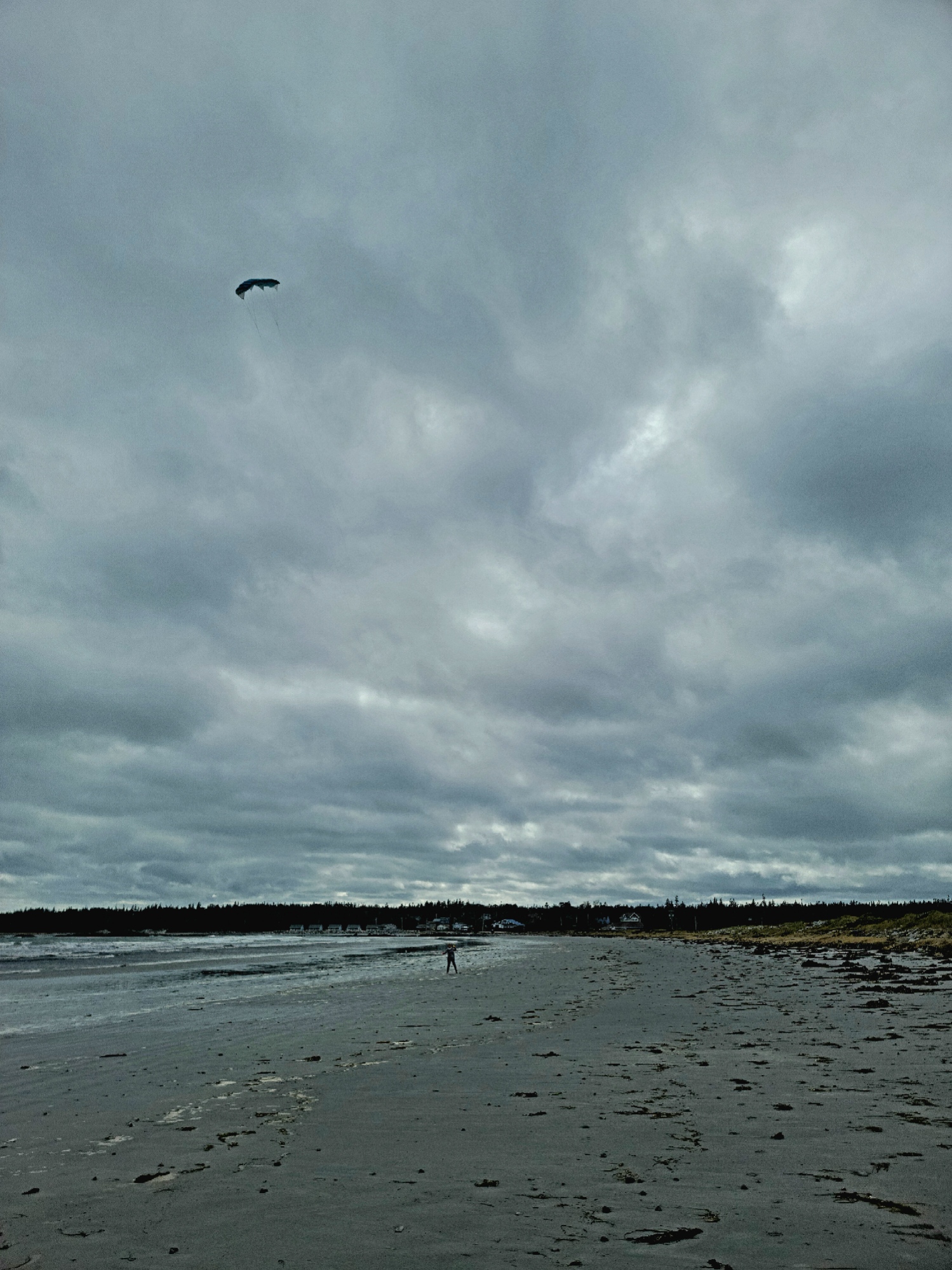 Cerf-volant sur la baie Crescent - Magazine Camper