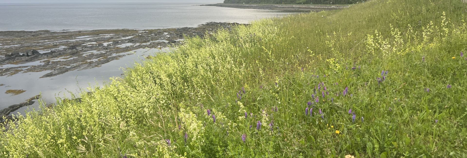 Bannière Un prématuré qui ne veut pas mourir