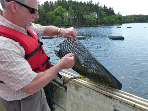 Nolan D'Eon a développé une technique originale en panier. - Magazine Camper