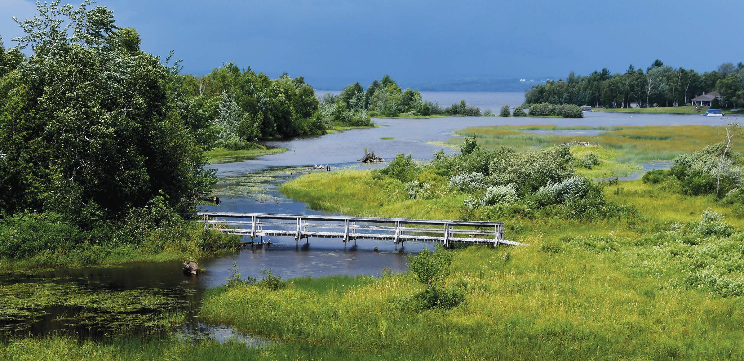 Le marais Maskinongé - Magazine Camper