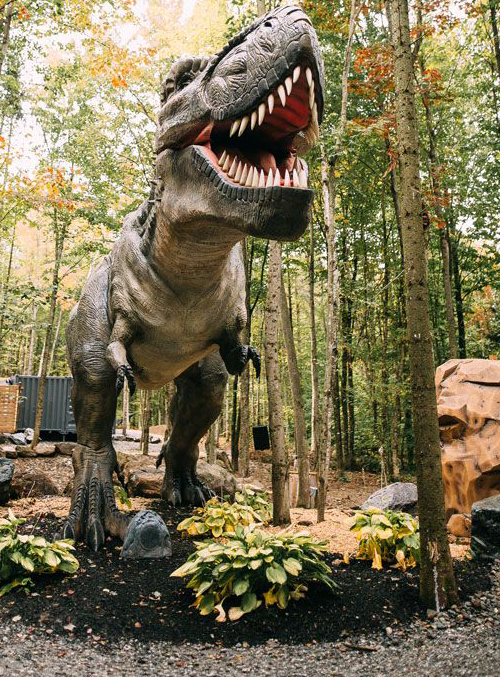 Le Woodooliparc - Magazine Camper