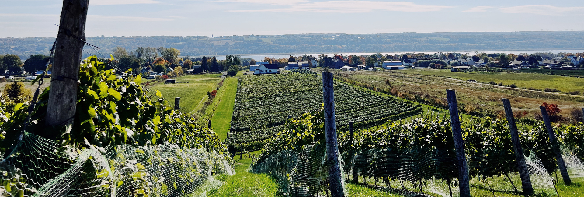 Bannière Une route pavée de saveurs