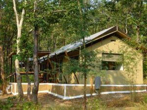 Reni Pani Jungle Lodge et leur tente climatisée - Magazine Camper