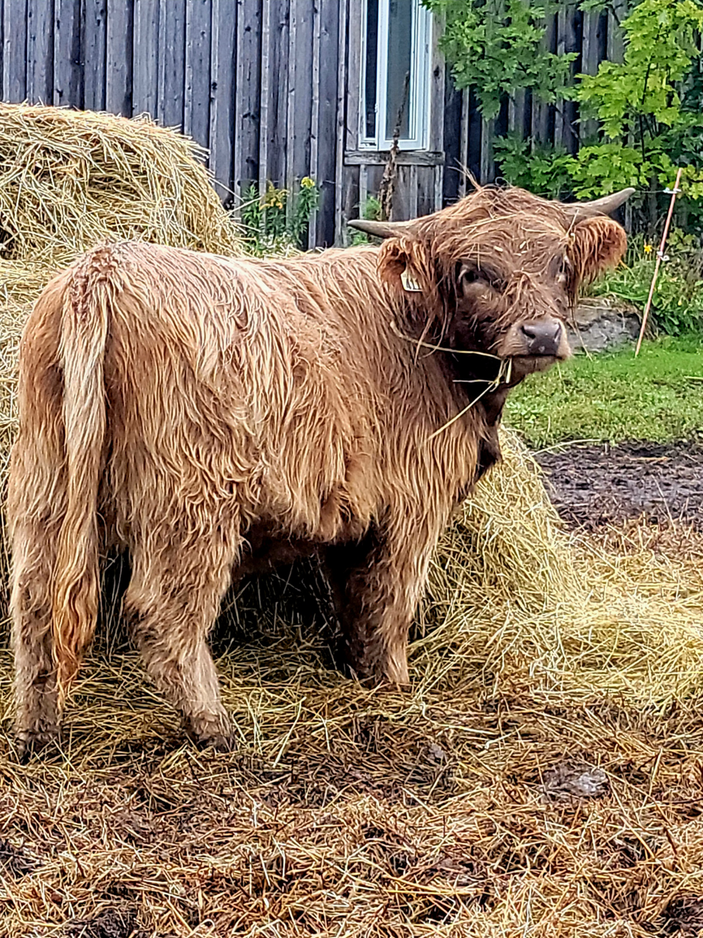 Les Deux L à Saint-Félix-de-Kingsey (Centre-du-Québec) - Magazine Camper