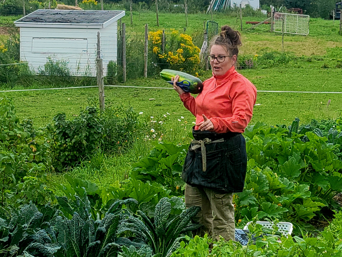 Ferme Entre les Branches à Pintendre - Magazine Camper