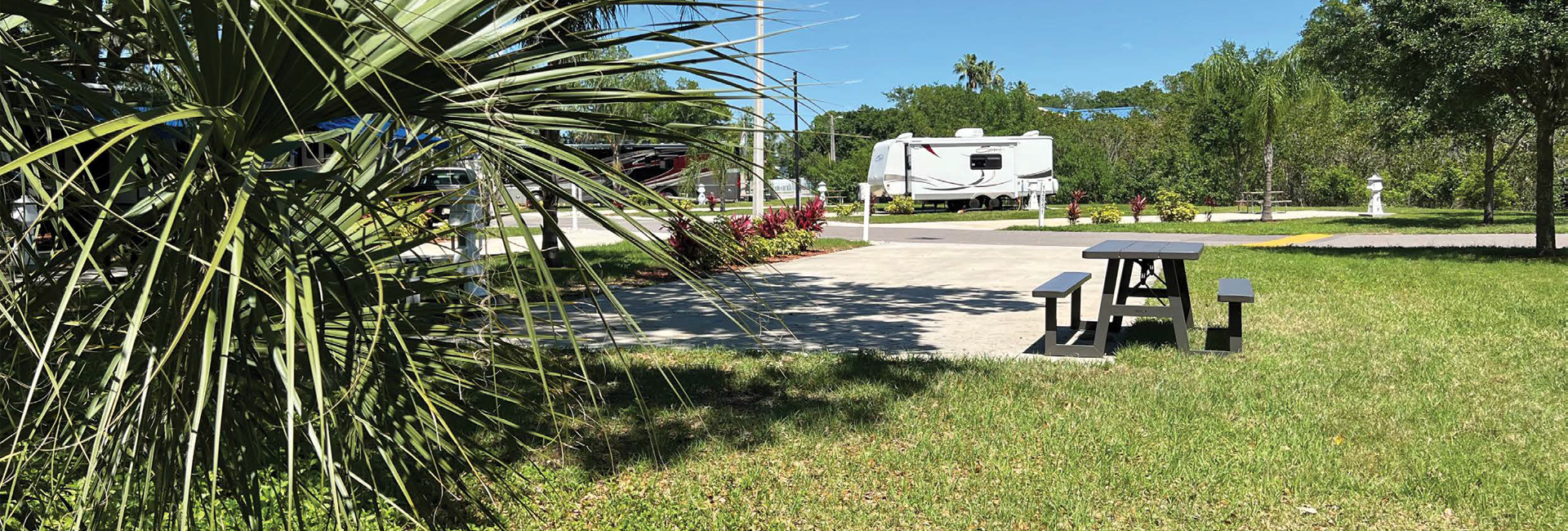 Bannière Séjour en Floride