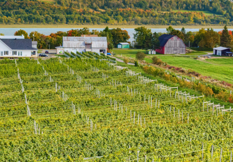 Une route pavée de saveurs - Magazine Camper