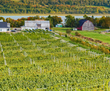 Une route pavée de saveurs - Magazine Camper