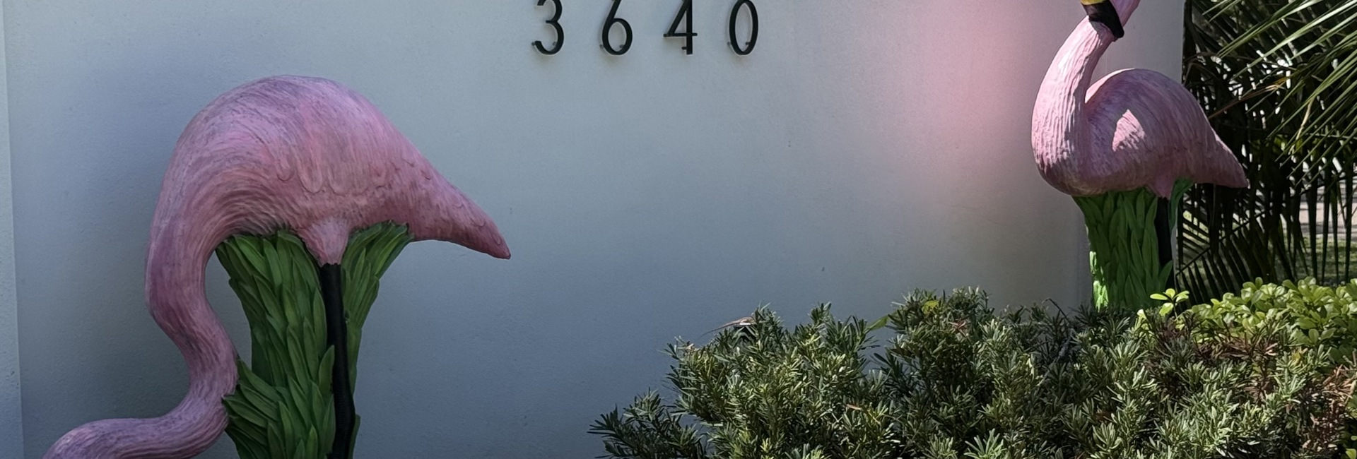 Bannière Répit avant le grand départ