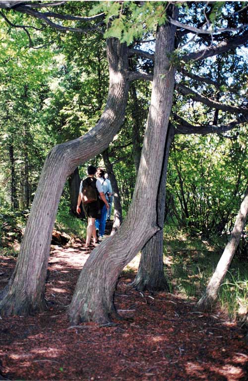 Une nature souvent enchanteresse - Magazine Camper