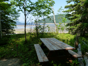 Un des sites de camping rustique. - Magazine Camper