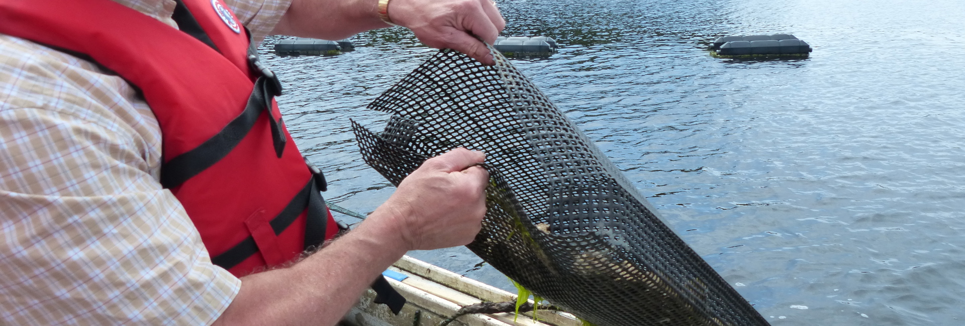 Bannière Et l’Acadie dans tout ça !