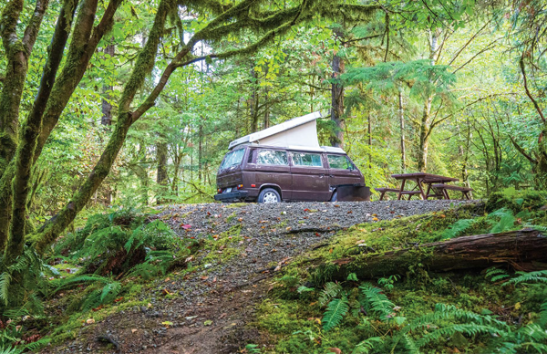 Une douzaine de parcs provinciaux avec terrains de camping se trouvent sur la route. Bien qu’abondamment boisés, ces sites n’offrent toutefois aucun service. Sur la photo, celui de Sproat Lake. - Magazine Camper