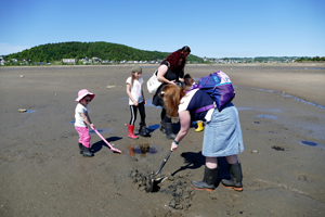 Activité de recherche d'invertébrés dans la boue. - Magazine Camper