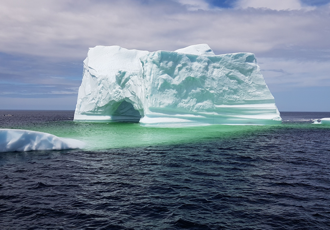 11 choses utiles à savoir sur Terre-Neuve - Magazine Camper