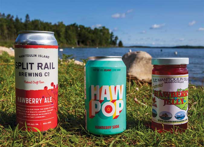 Amateurs d'agrotourisme, vous serez comblés! C'est une destination de choix pour encourager l'achat local. - Magazine Camper