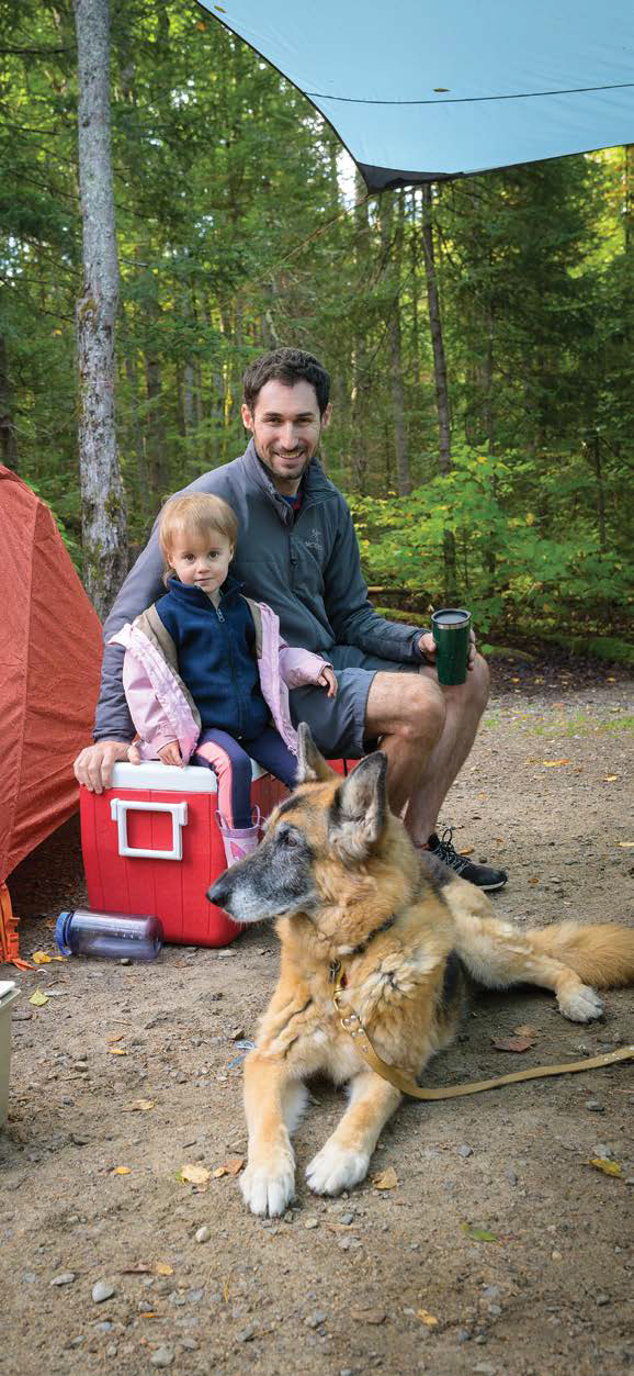 Même s’il est doux comme un agneau, un berger allemand peut contribuer à éloigner les intrus. - Magazine Camper