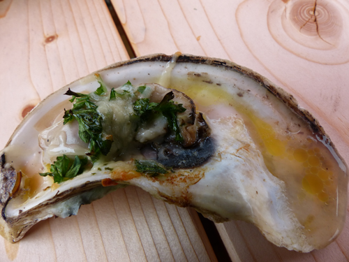 C'est le temps de la dégustation. - Magazine Camper