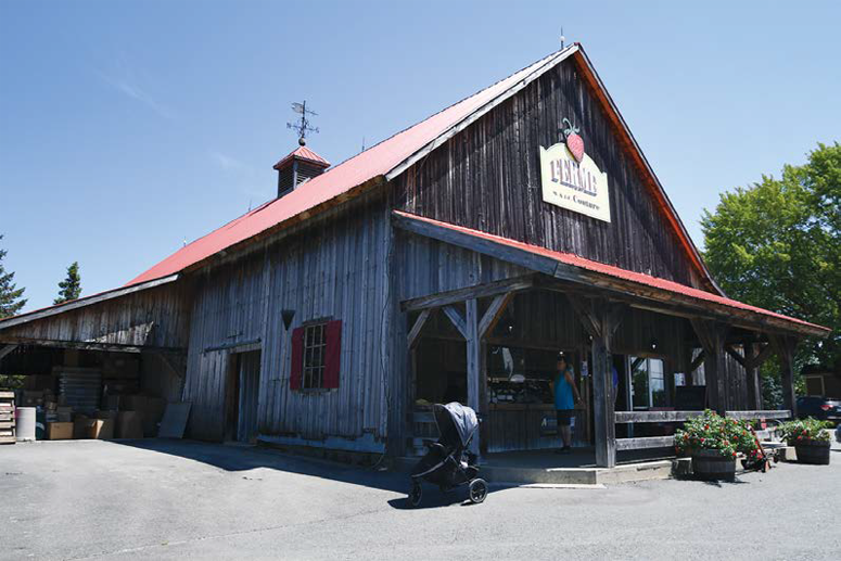 La Ferme Couture, où il est possible de faire l’autocueillette de fraises et de framboises. - Magazine Camper