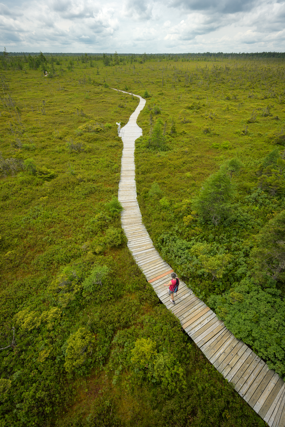 Au parc national Kouchibouguac - Magazine Camper