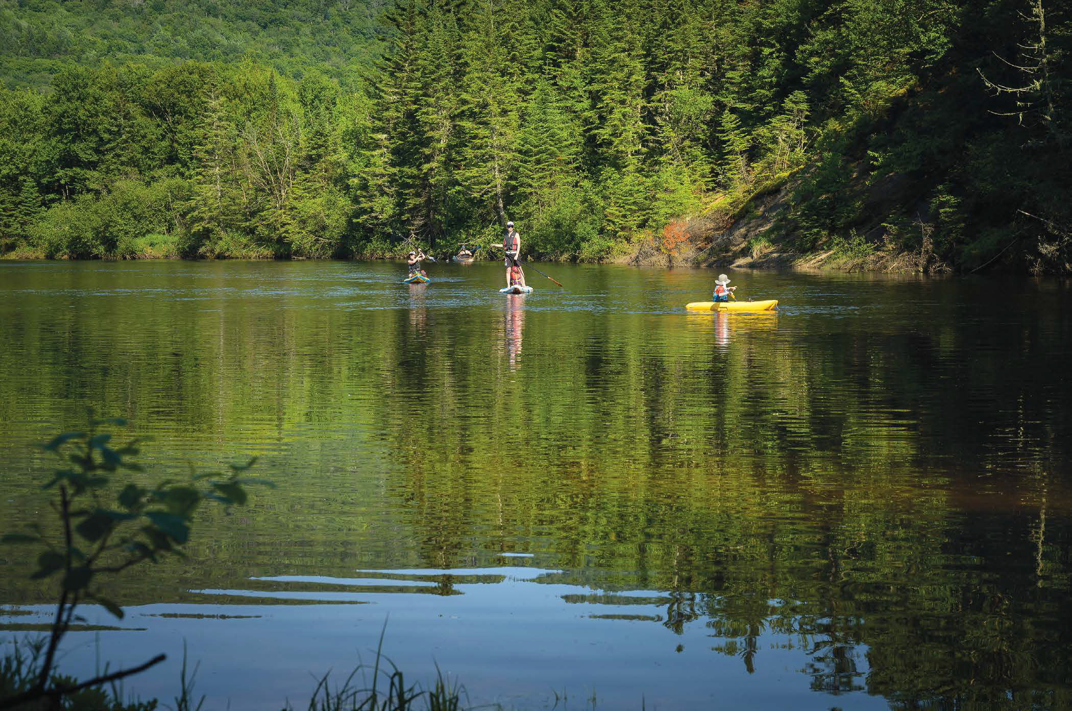 Etsanha veut dire « il ira à l’eau ». Ce que bien des campeurs prennent au pied de la lettre ! - Magazine Camper