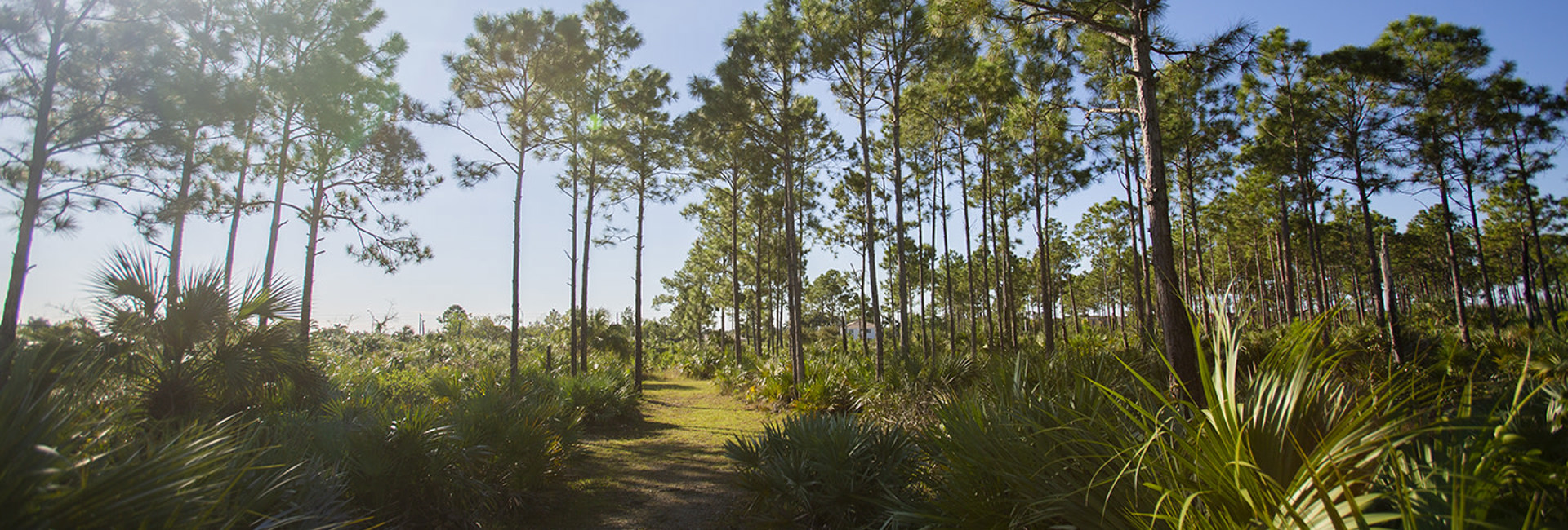 Bannière Bilan d’un autre hiver en Floride