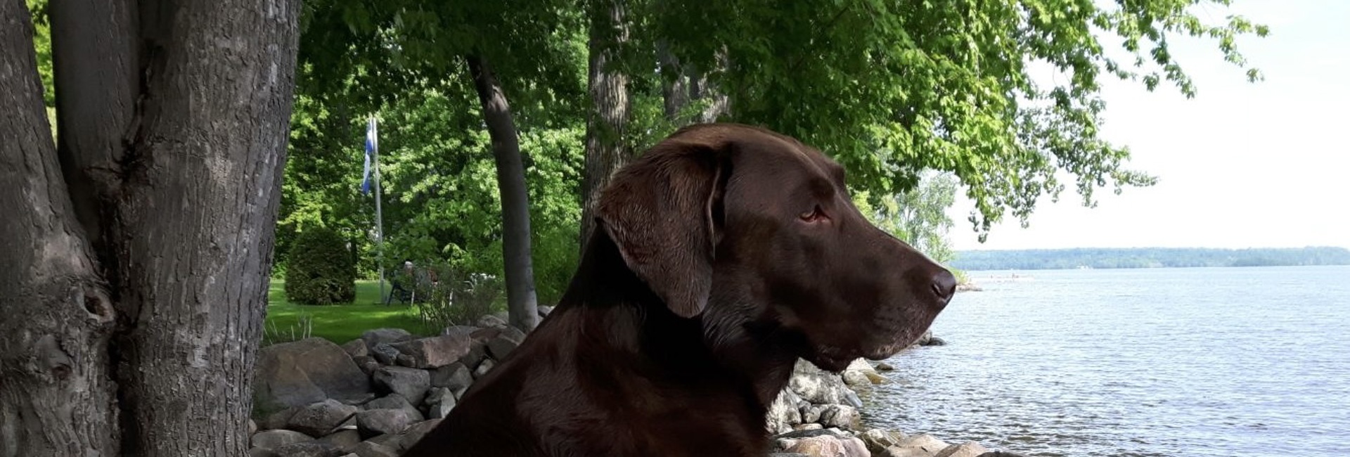 Bannière Resserrement à la frontière