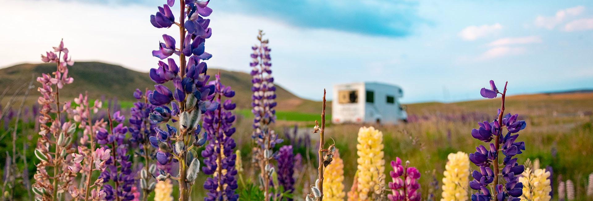 Bannière L'ile Manitoulin