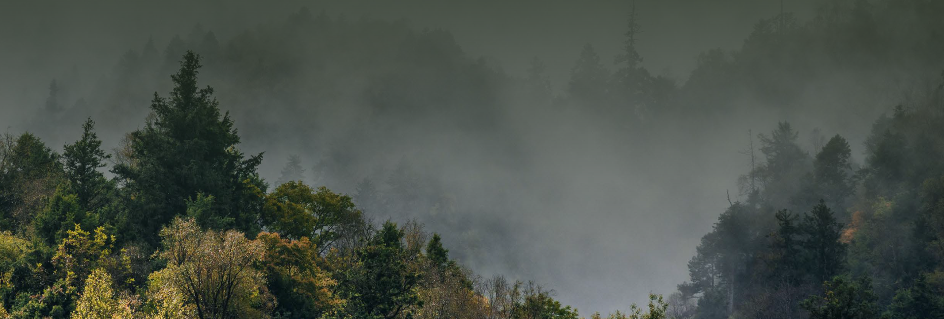 Bannière Manifeste CAMPER