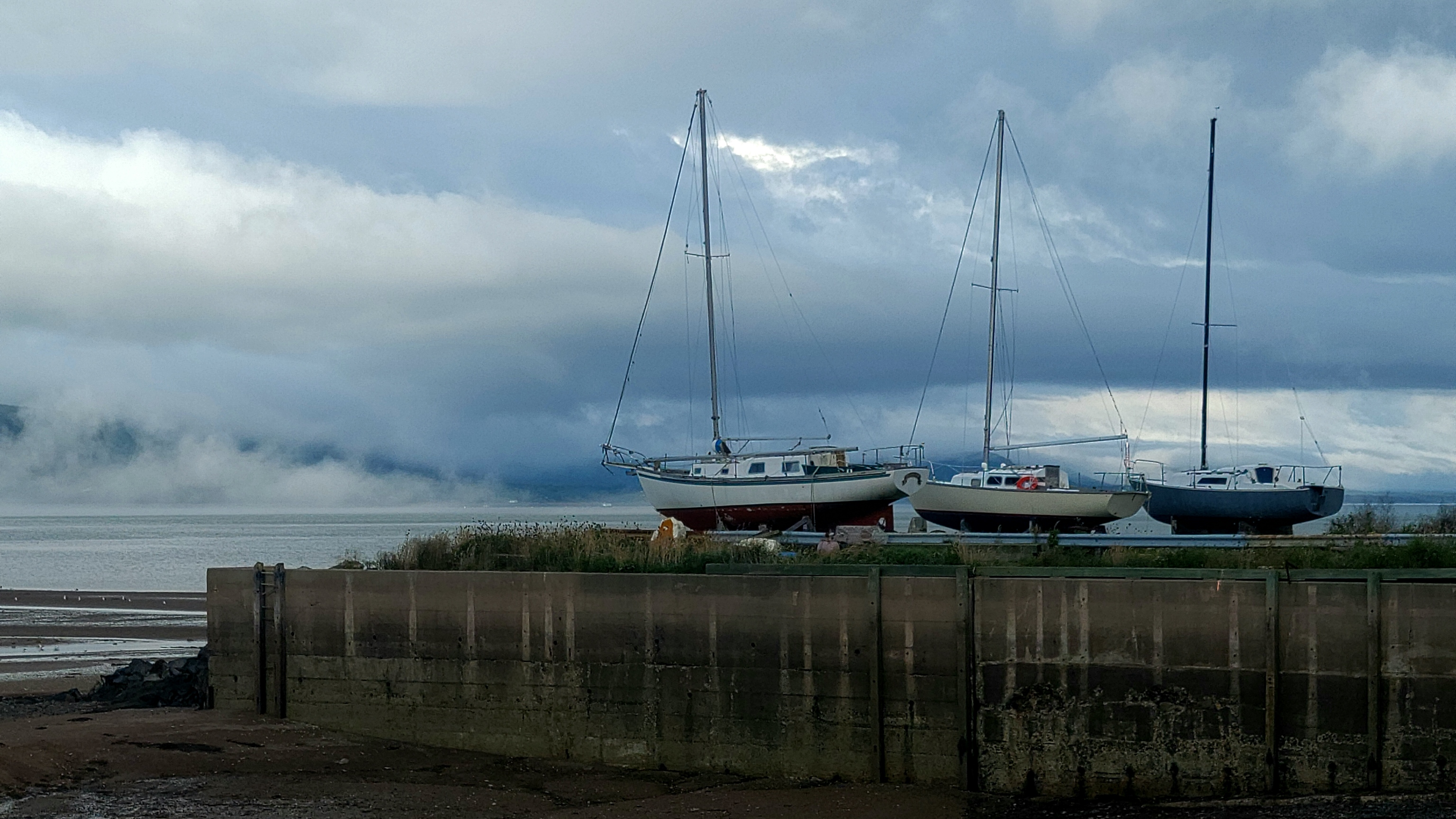 Digby attend la tempête - Magazine Camper
